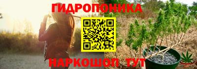 индика Малгобек
