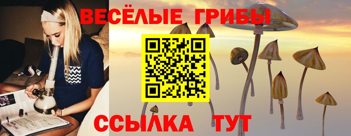 Галлюциногенные грибы Cubensis Владимир